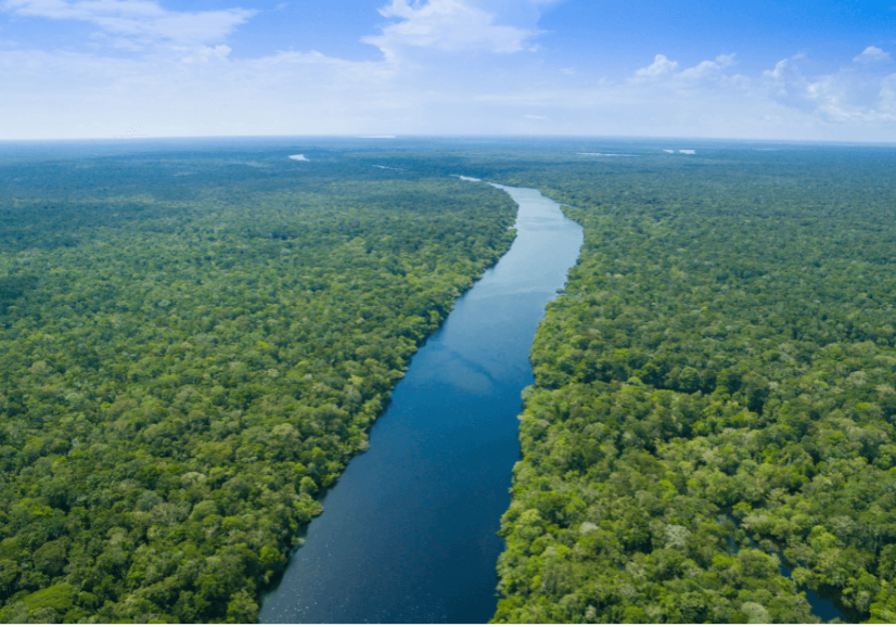 amazônia